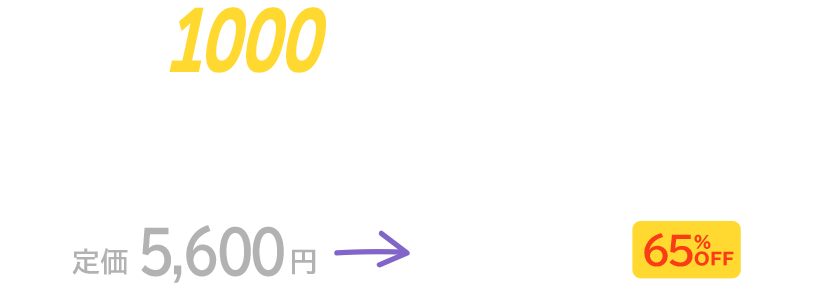 1000本限定！早い者勝ち!!バージョンアップ記念キャンペーン　定価5,600円が2,000円＜65%OFF＞